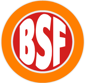 BFS-1.gif